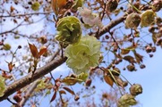 DSCF0702_R