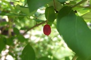 DSCF2877_R
