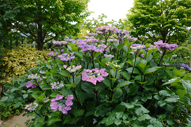 DSC08228_R