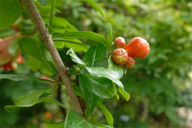 DSC08131_R