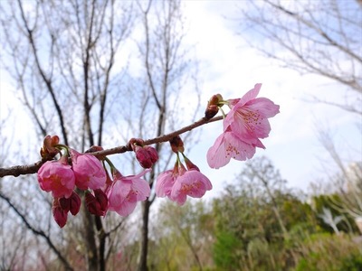 DSCF1586_R