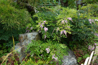 DSC08723_R