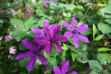 DSC07640_R