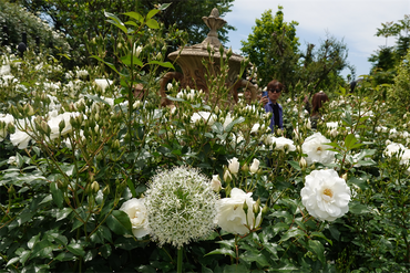 DSC07459_R