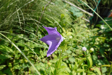DSC03172_R