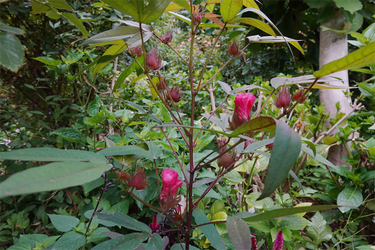 DSC08922_R