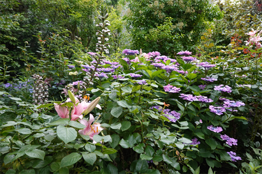 DSC08361_R