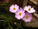 DSCF5164_R