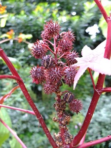 DSCF5072_R