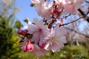 DSCF1951_R