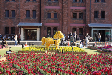 DSC00597_R