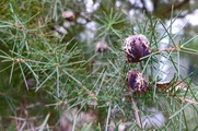 DSCF4737_R