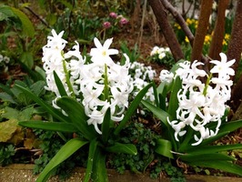 DSCF7492_R