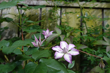 DSC02844_R