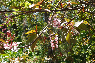 DSC06660_R