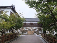 DSCF9693_R