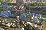 DSCF0709_R