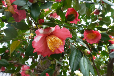 DSC06024_R
