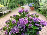 DSCF2552_R