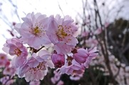 DSCF1752_R