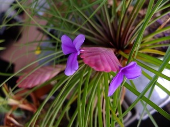 DSCF6008_R