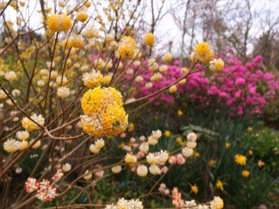 DSCF7480_R