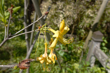 DSC05952_R