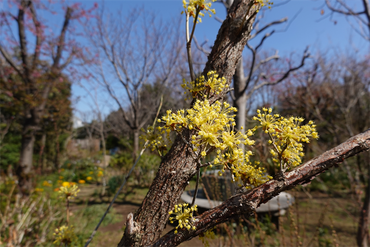 DSC05938_R