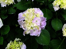 DSCF0138_R