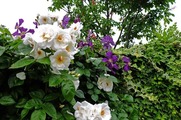 DSCF3428_R