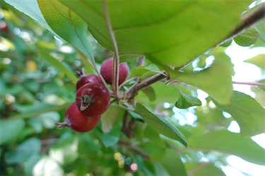 DSC02689_R