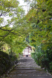 DSC03625_R