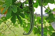 DSCF4664_R