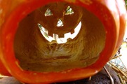 DSCF7011_R