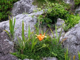 DSCF1104_R