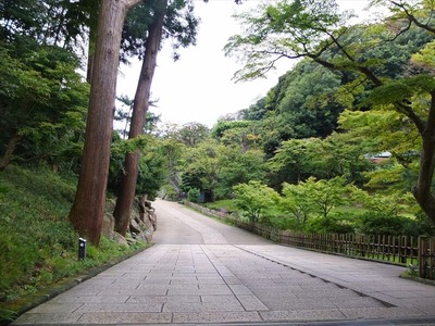 DSCF5275_R