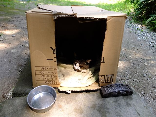 藍川京 の部屋 北鎌倉円覚寺 かなちゃん Livedoor Blog ブログ