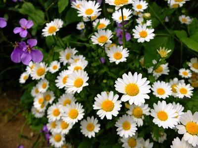 DSCF2639_R