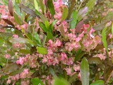 DSCF2114_R
