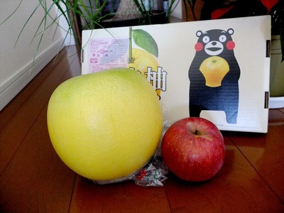 DSCF0490_R