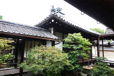 DSC09694_R