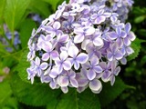 DSCF2407_R