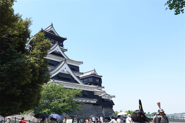 DSC07911 (1)_R