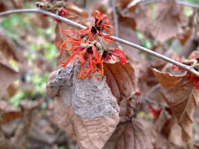 DSCF3949_R