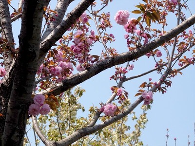 DSCF5570_R