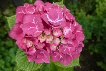 DSC08424_R