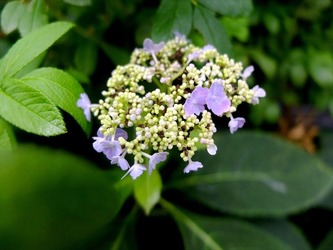 DSCF1529_R