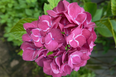 DSC08425_R