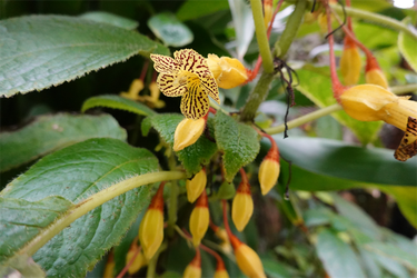DSC00080_R