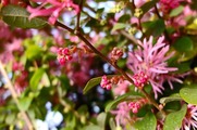 DSCF1722_R